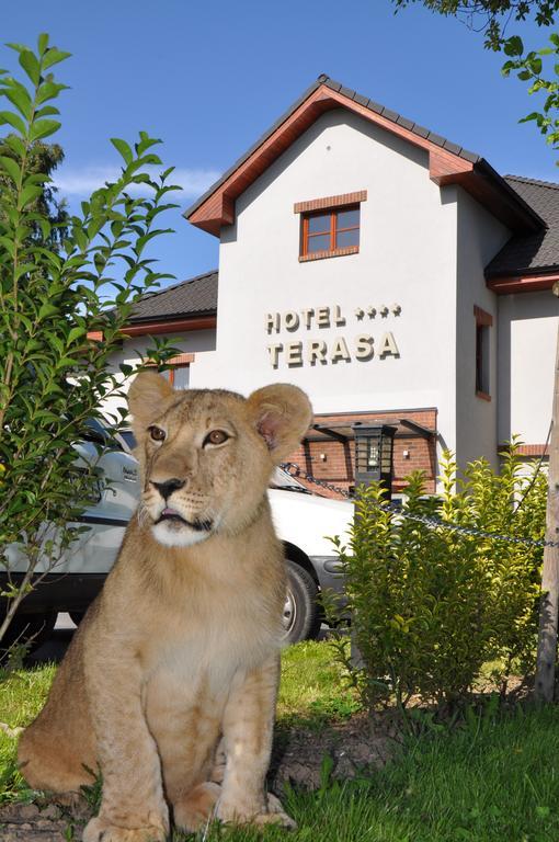 Hotel Terasa Frýdek-Místek Exteriör bild